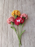 Carnation