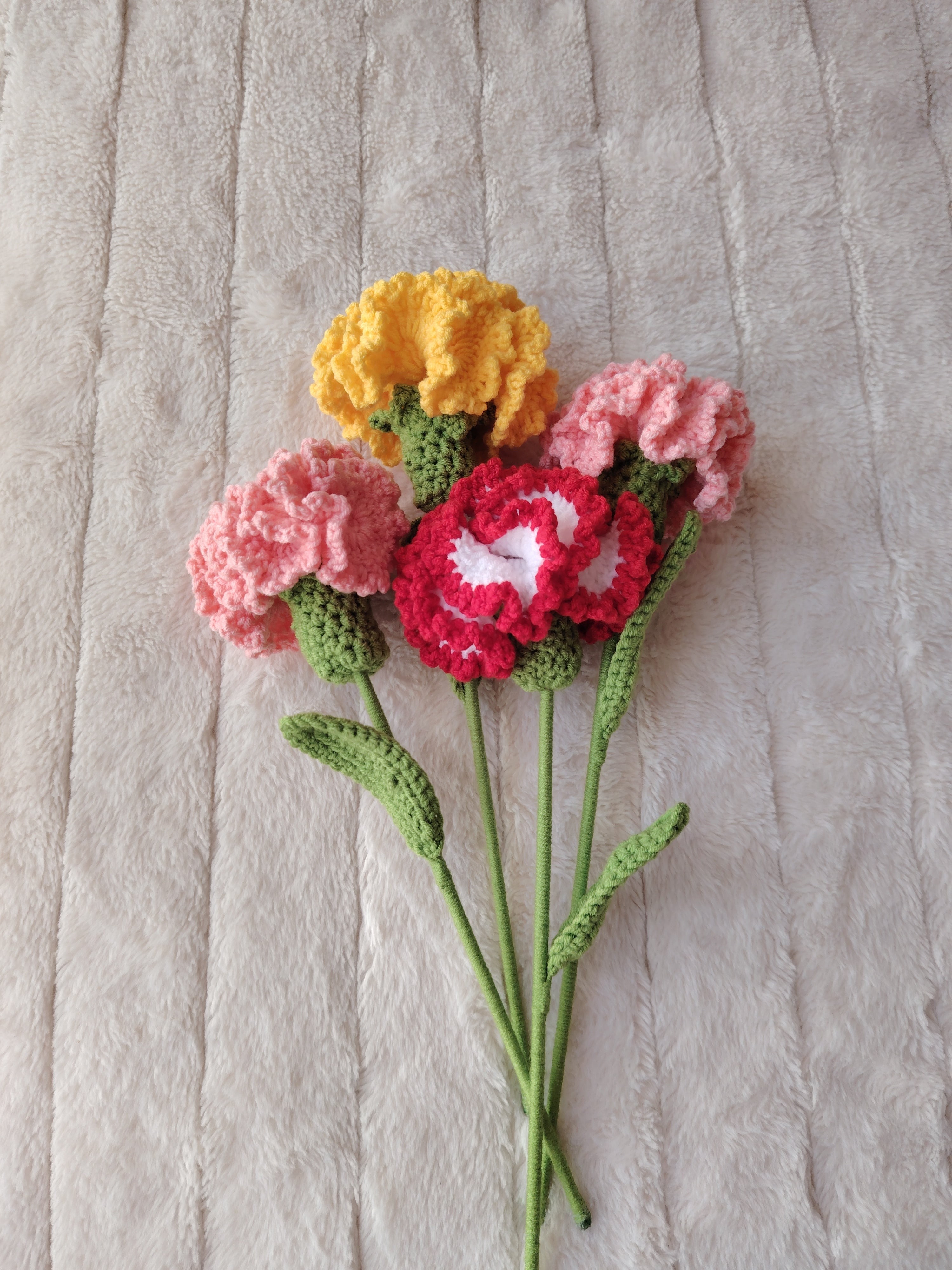 Carnation