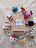 Mystery Bag
