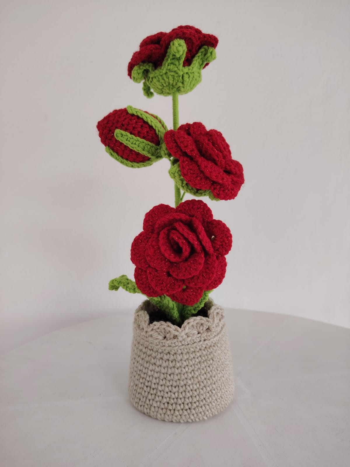 Enchanted Rose Plants