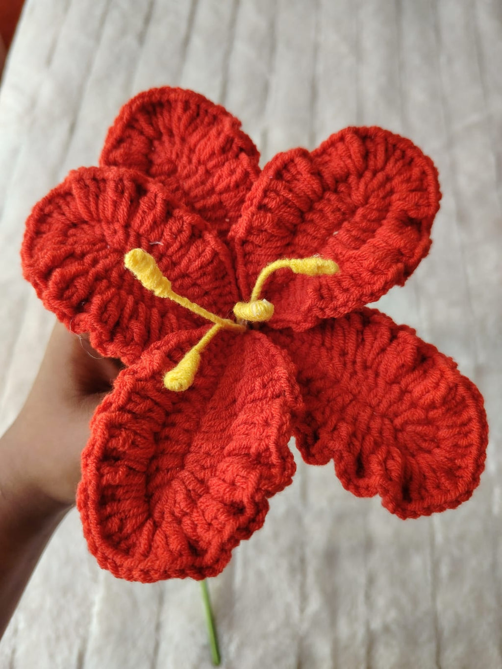 Hibiscus Flower