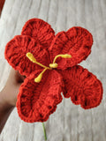 Hibiscus Flower